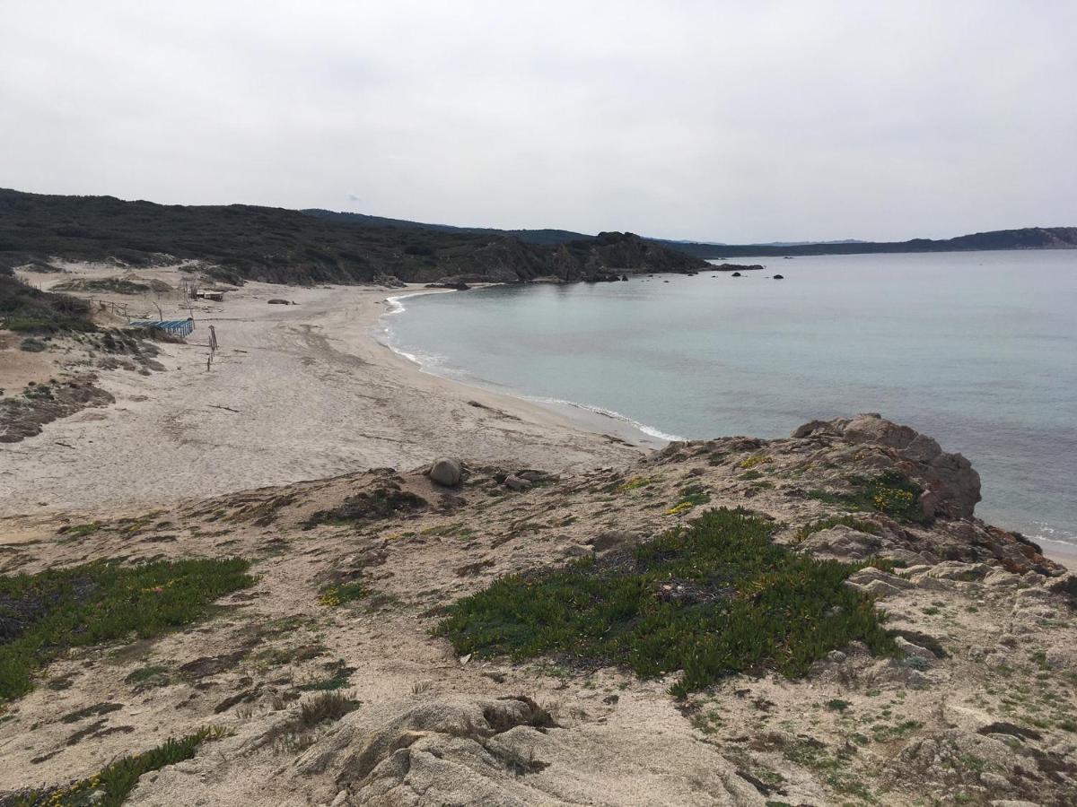 Monolocale A Rena Majore Di Gallura Dış mekan fotoğraf