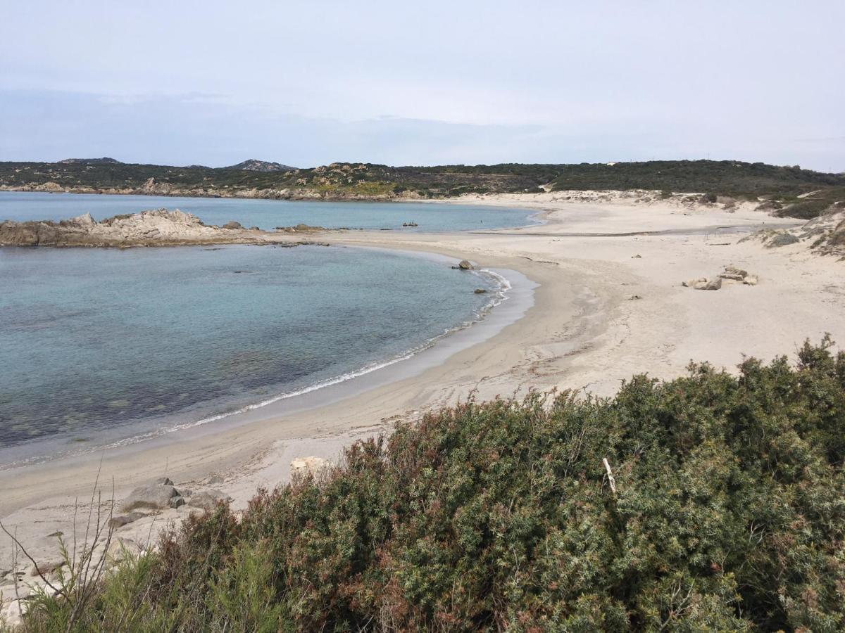Monolocale A Rena Majore Di Gallura Dış mekan fotoğraf