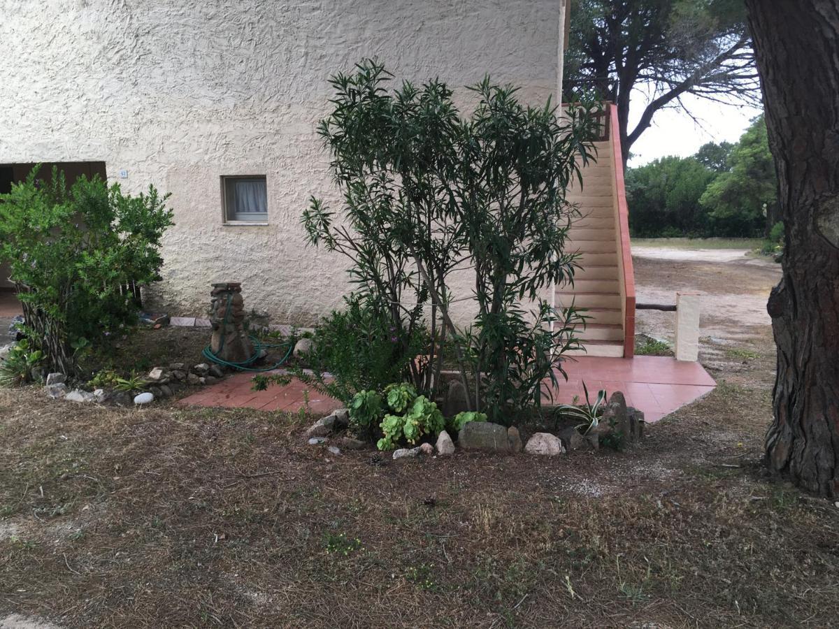 Monolocale A Rena Majore Di Gallura Dış mekan fotoğraf