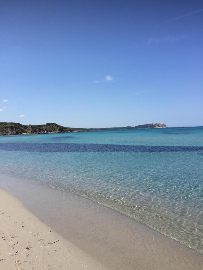 Monolocale A Rena Majore Di Gallura Dış mekan fotoğraf